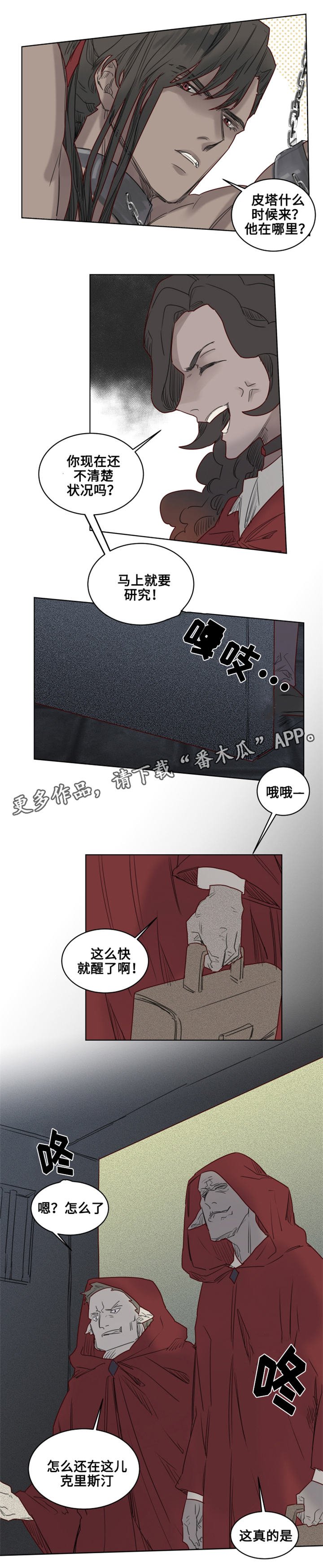第25章：‘红色塔’组织