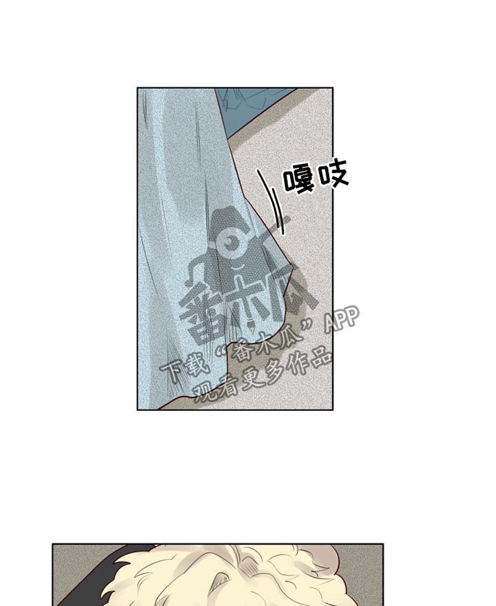第28章：清醒