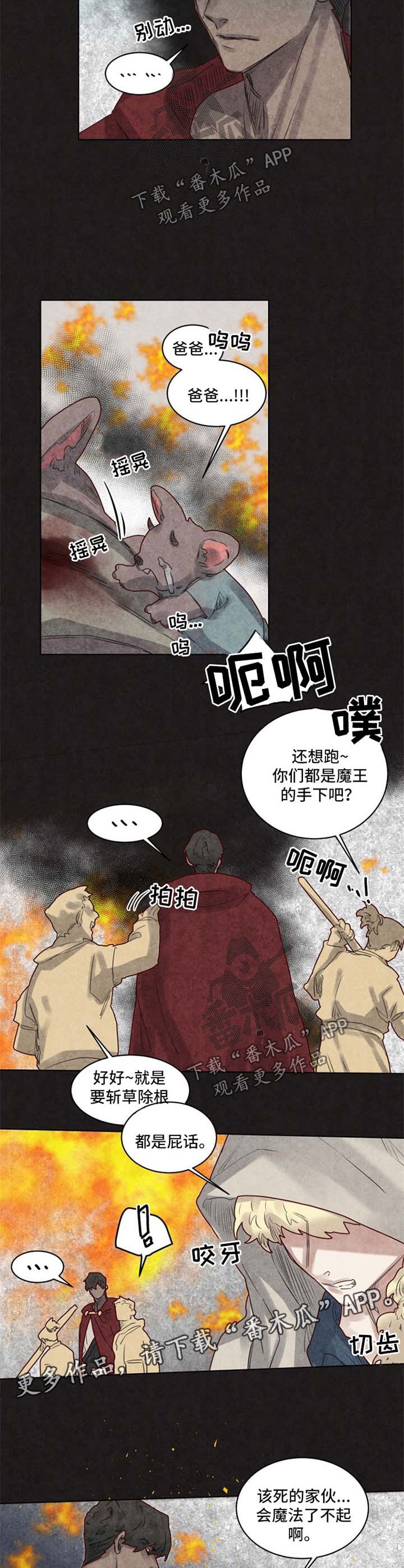 第29章：前世