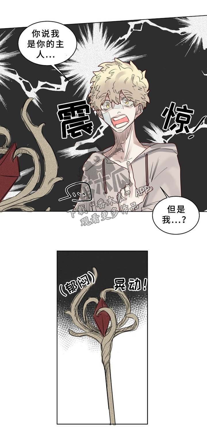 第39章：大魔法师的秘密
