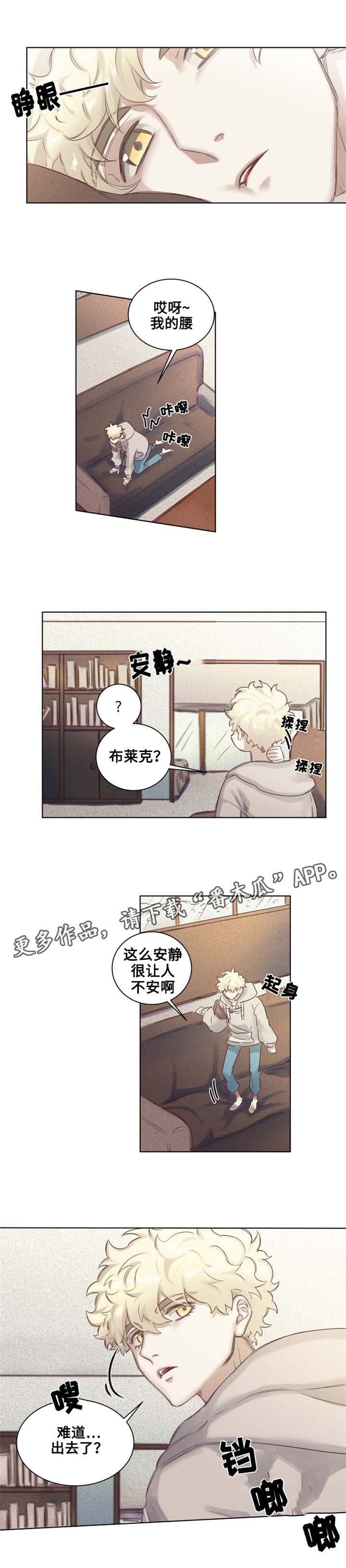 第5章：青蛙夫妇