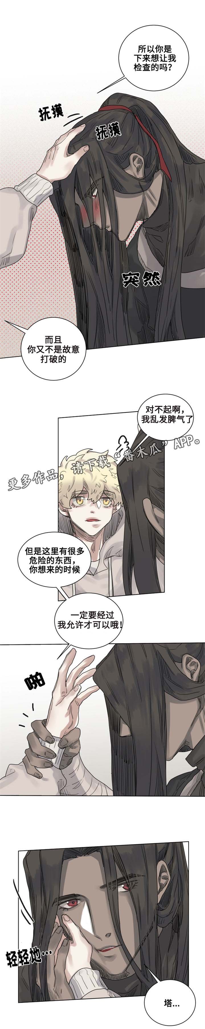 第9章：猫咪套装