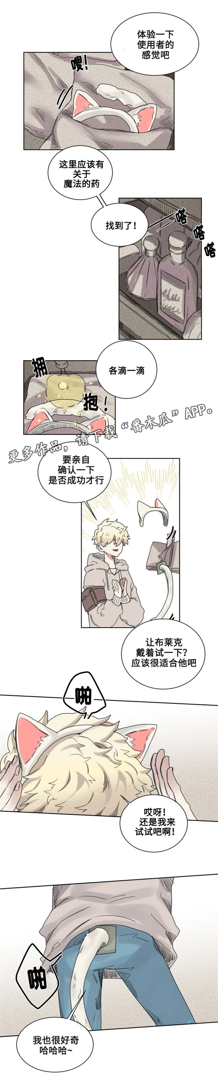 第9章：猫咪套装