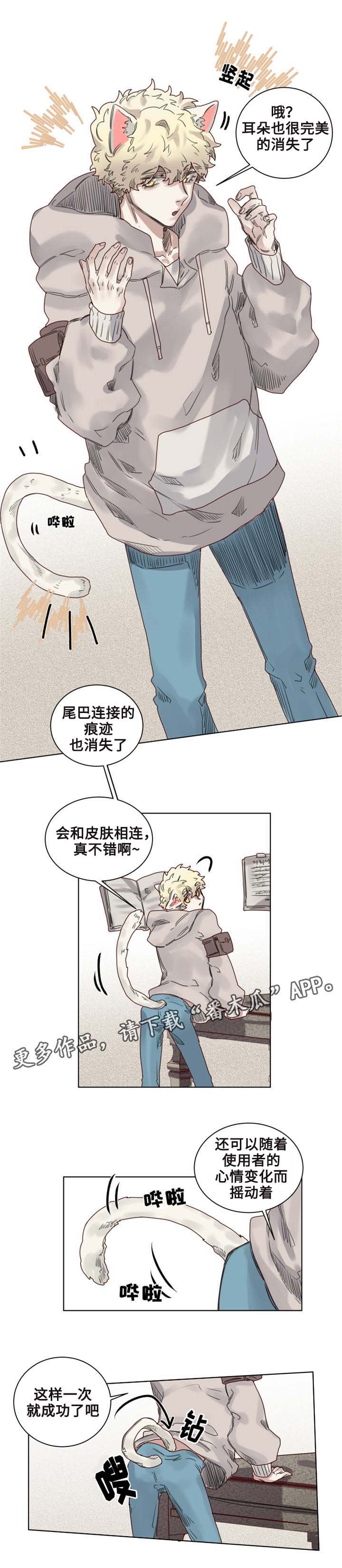 第9章：猫咪套装