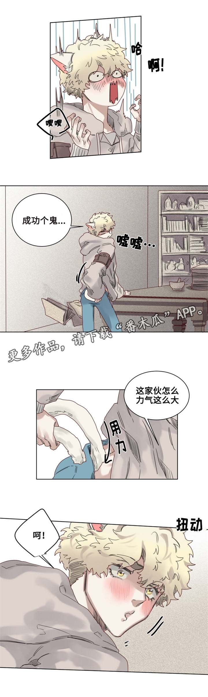 第9章：猫咪套装
