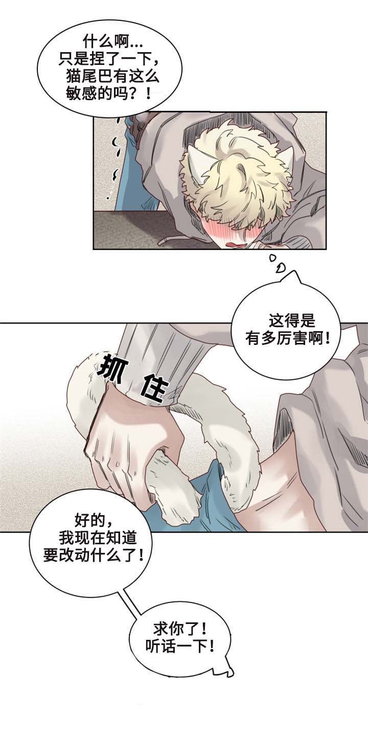 第9章：猫咪套装