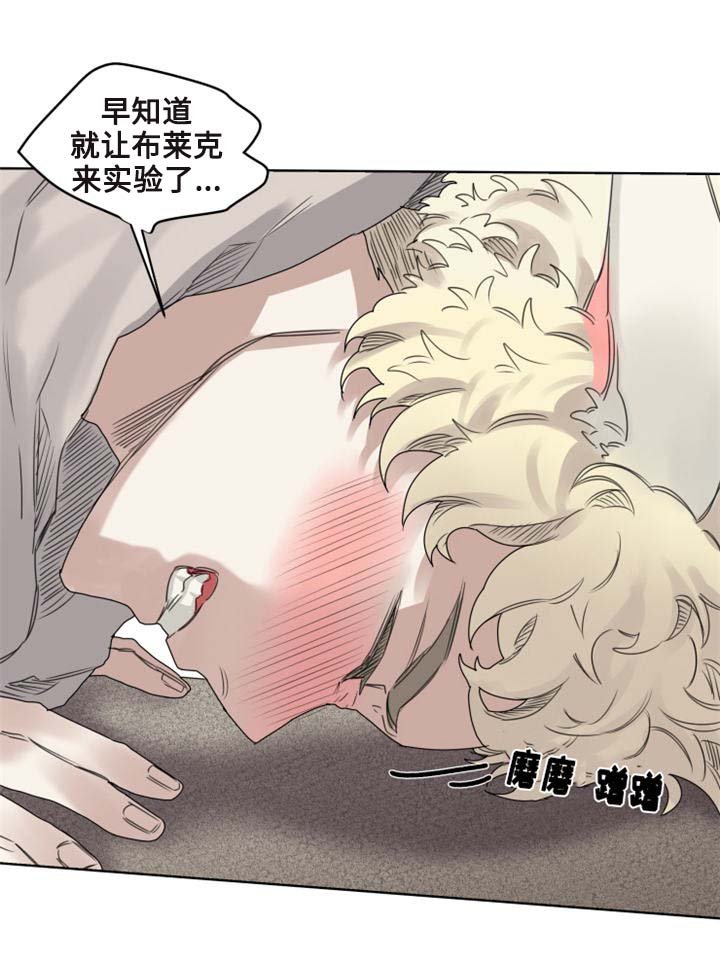 第9章：猫咪套装