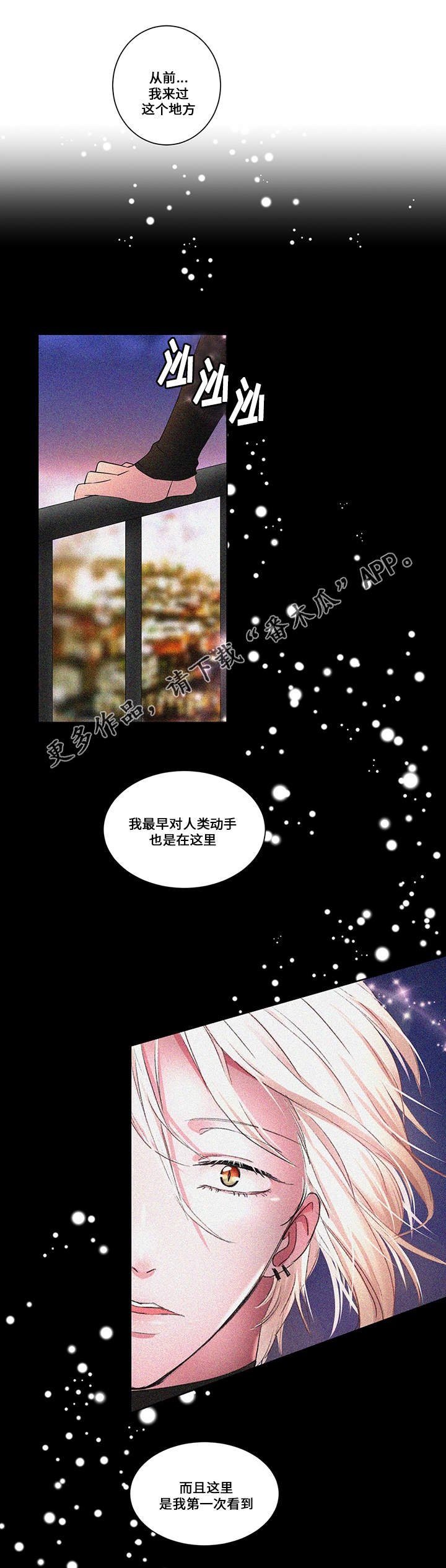 第11章：光景