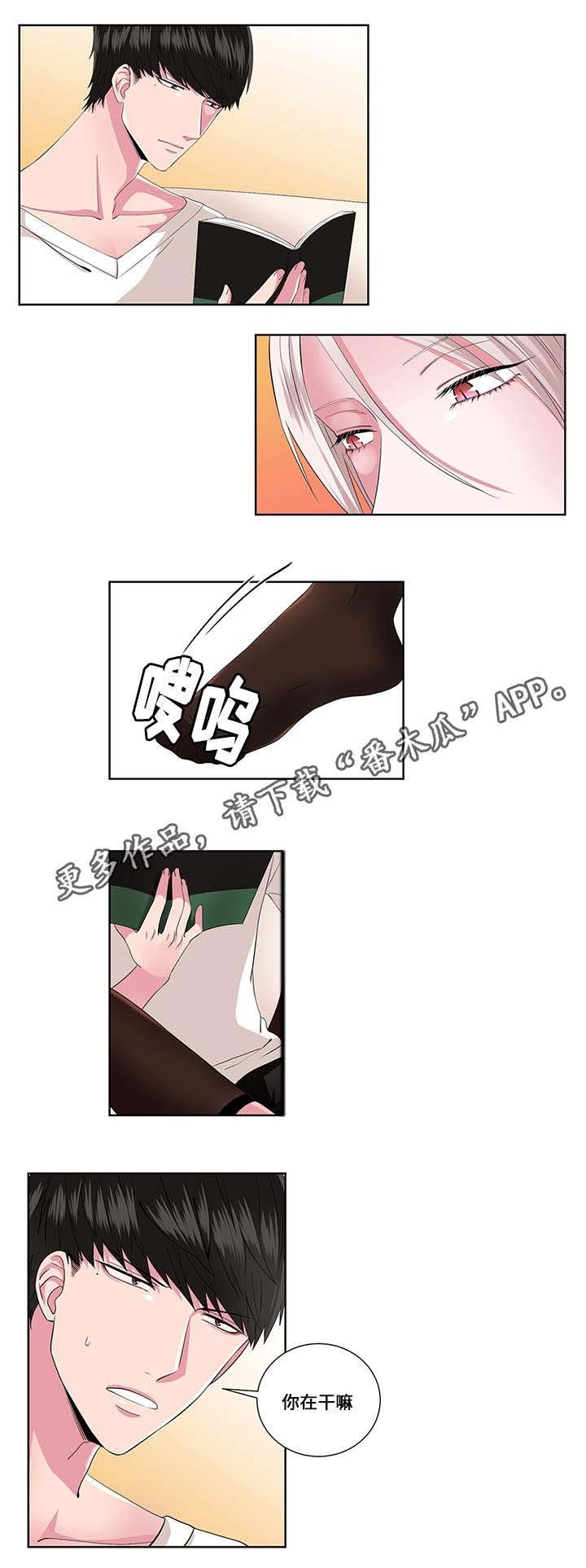 第17章：阴谋