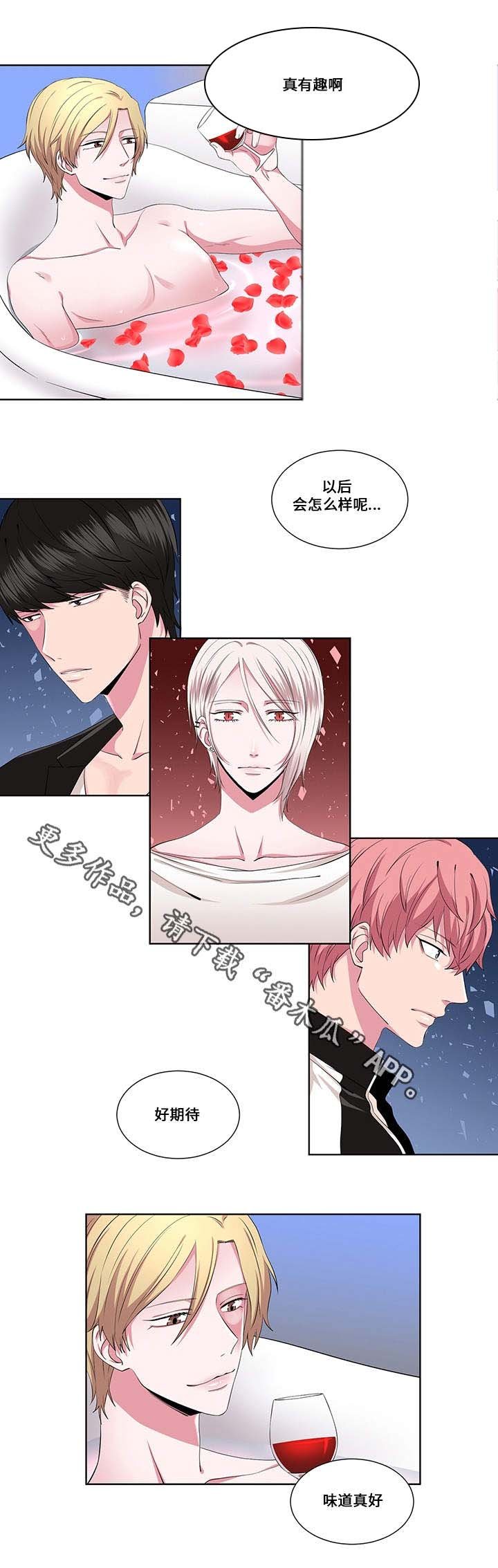 第17章：阴谋