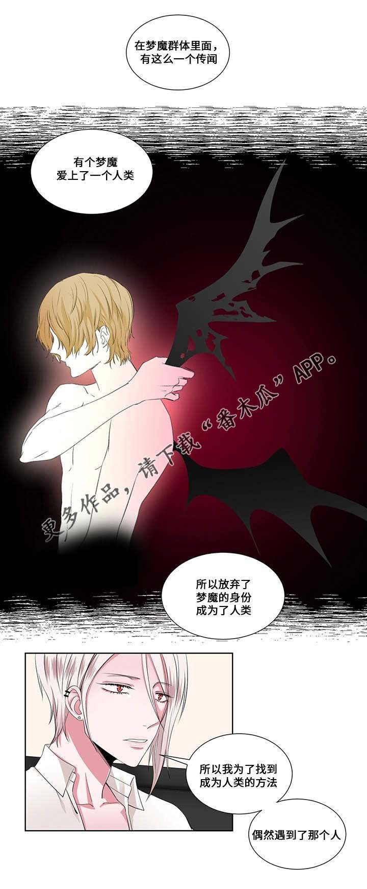 第18章：实情
