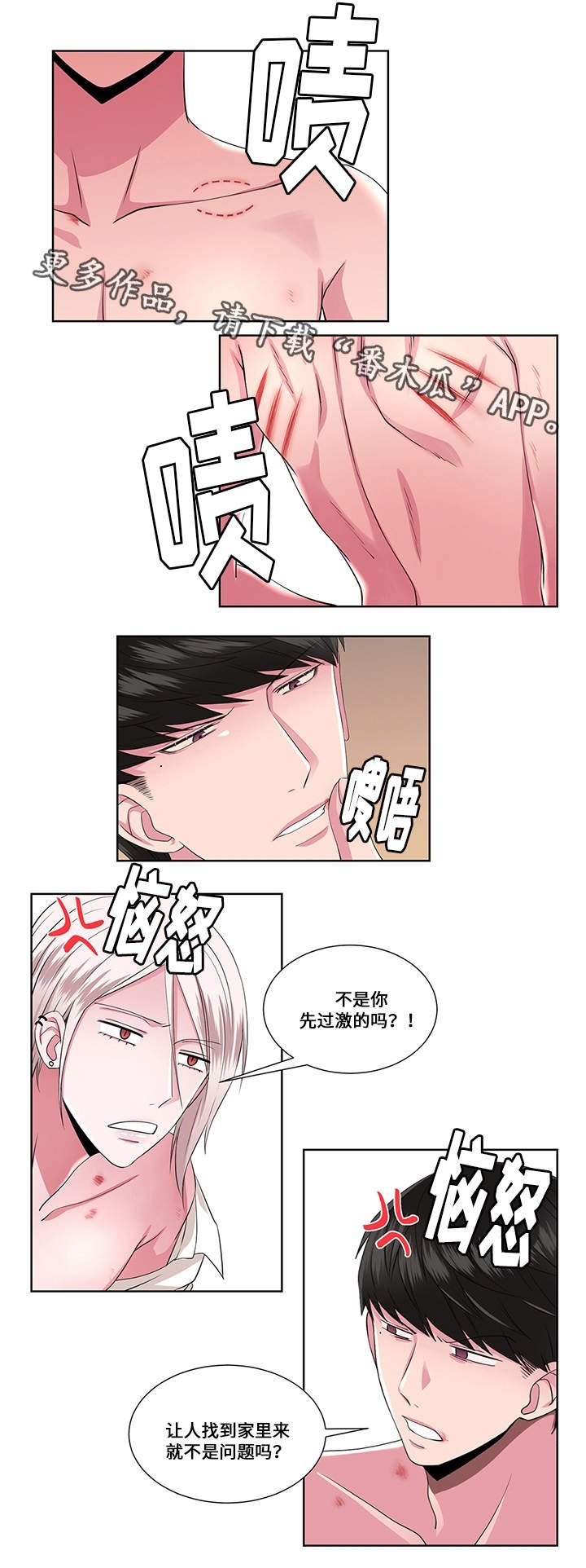 第20章：过激