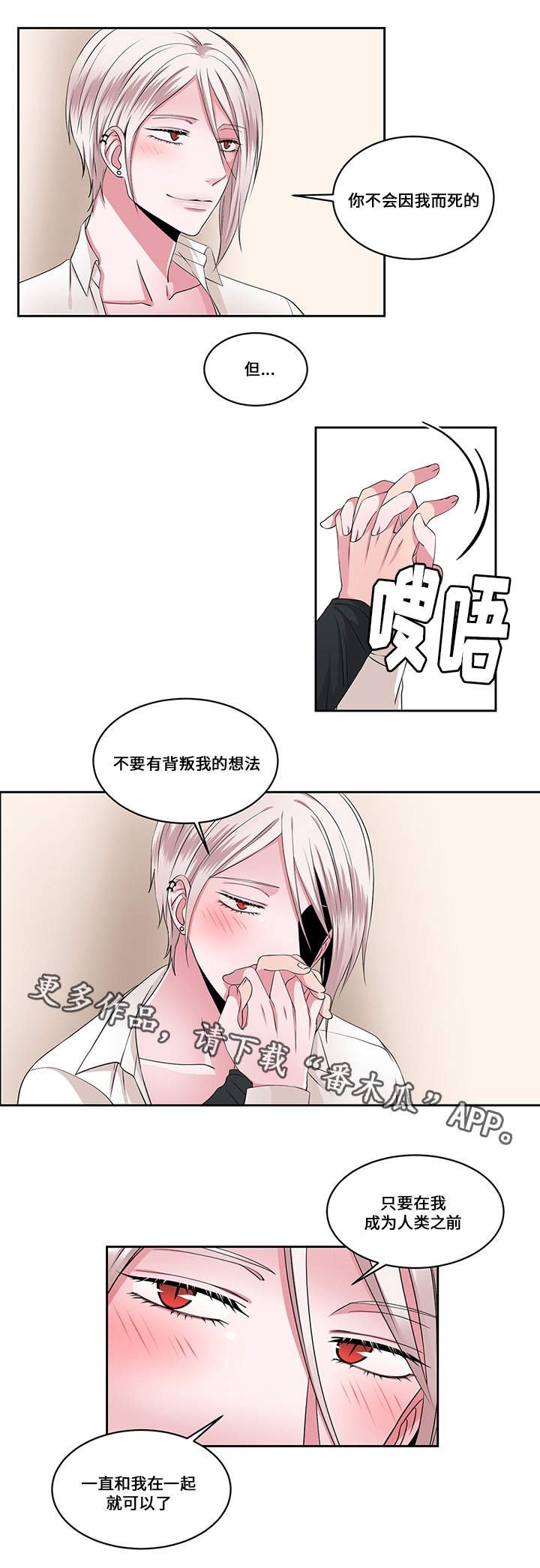 第25章：选择