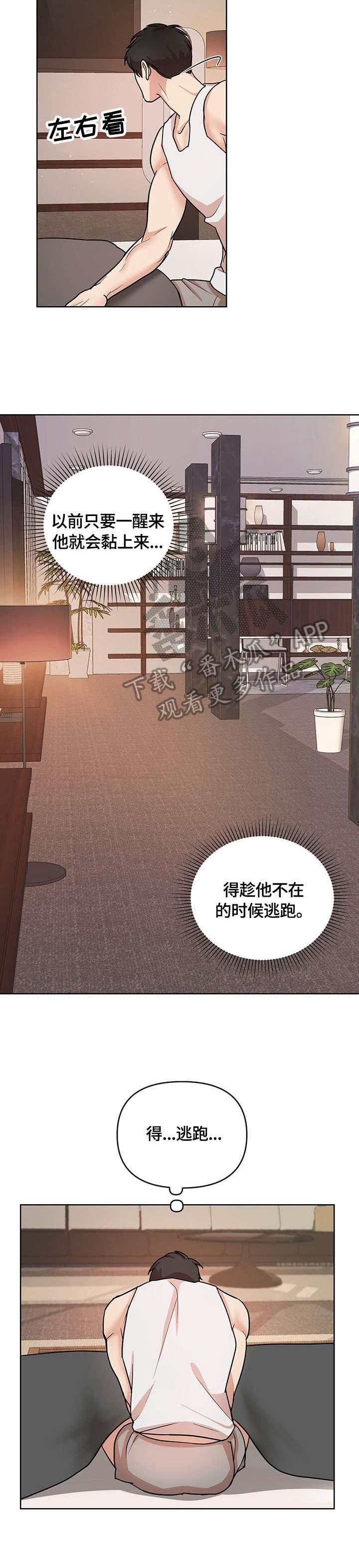 第16章：疯子