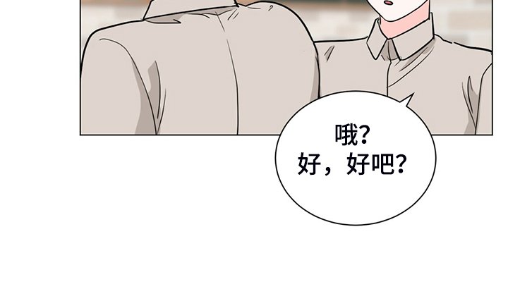 第62章：你们自行解决