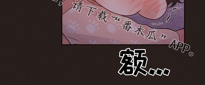 第164章：【番外】夜晚
