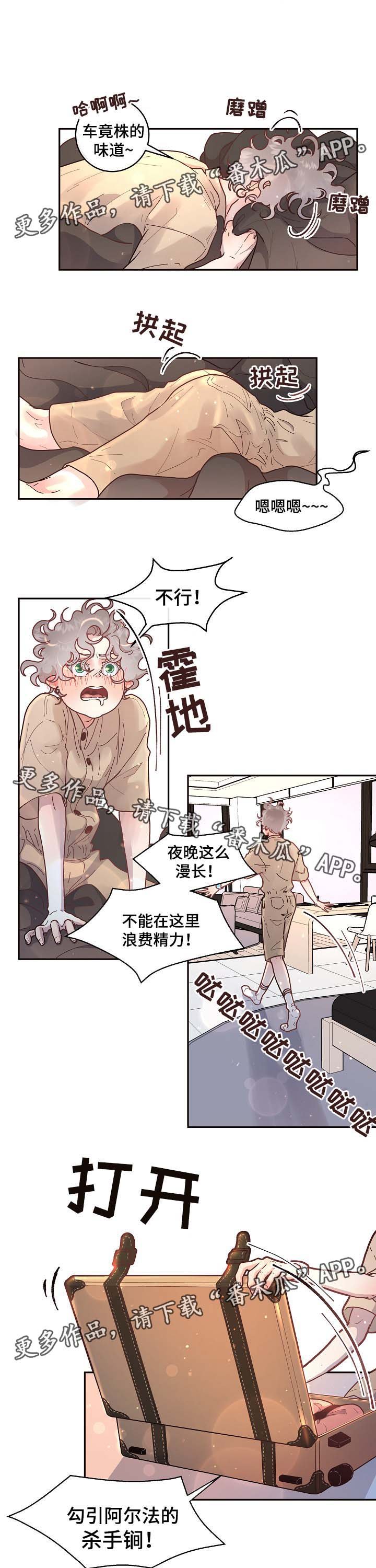 第51章：惊喜