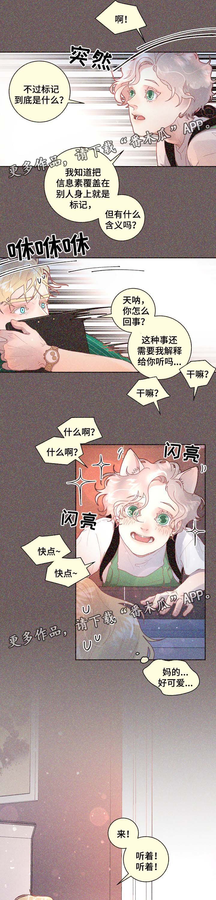 第67章：标记是什么