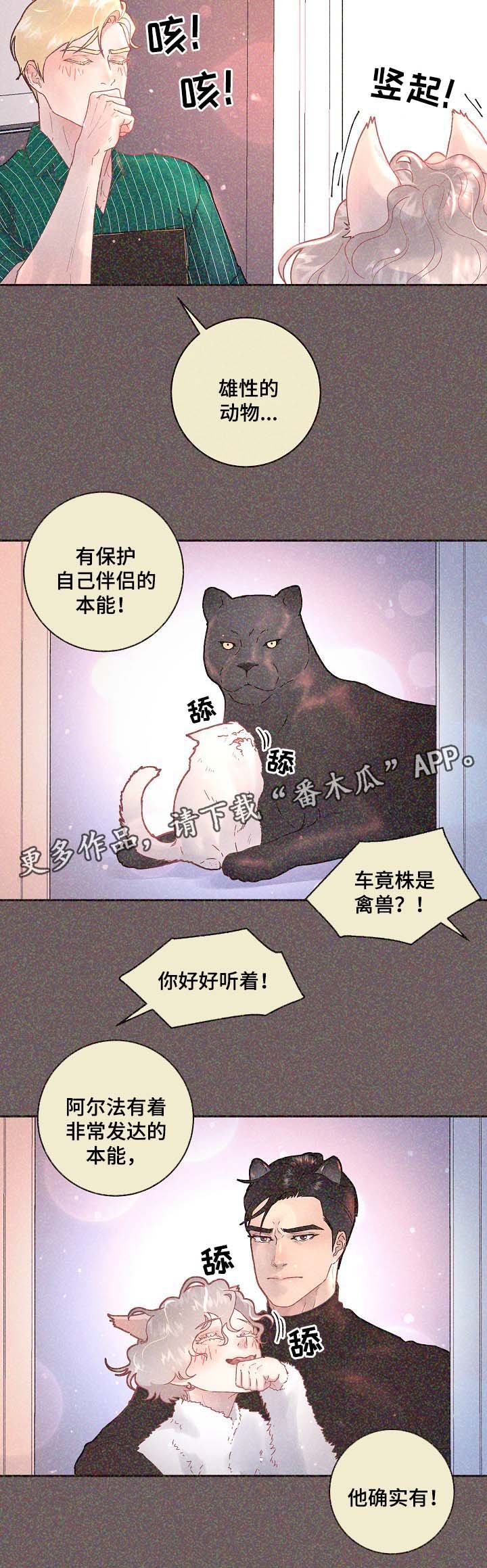 第67章：标记是什么