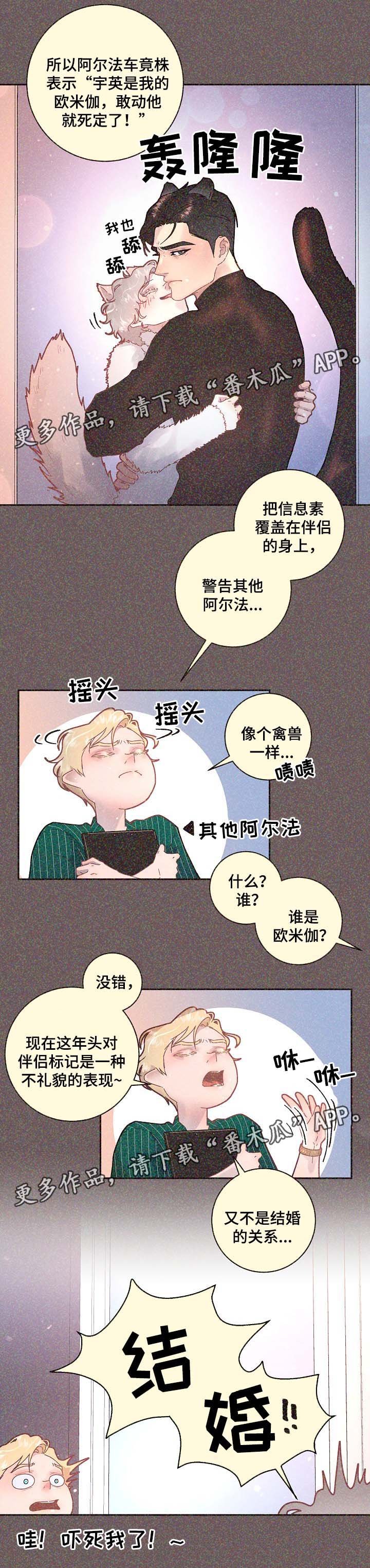 第67章：标记是什么