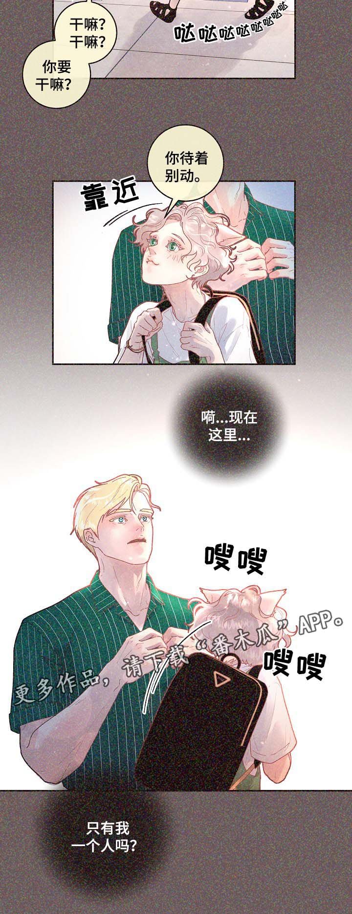 第67章：标记是什么