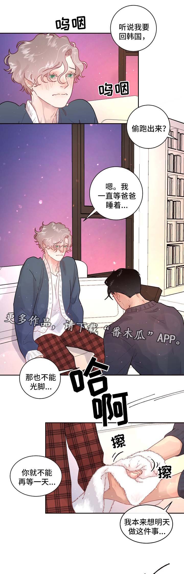 第74章：怀孕与求婚（第二季完结）