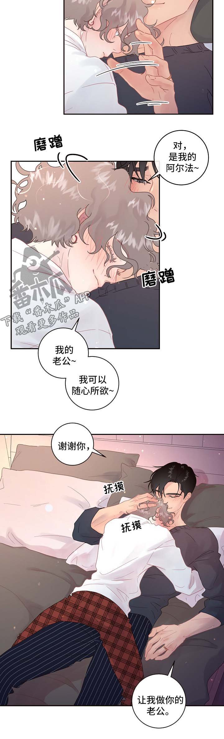 第75章：【第三季】我的阿尔法