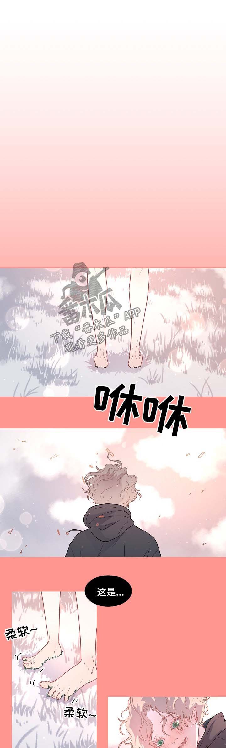 第79章：【第三季】苹果梦