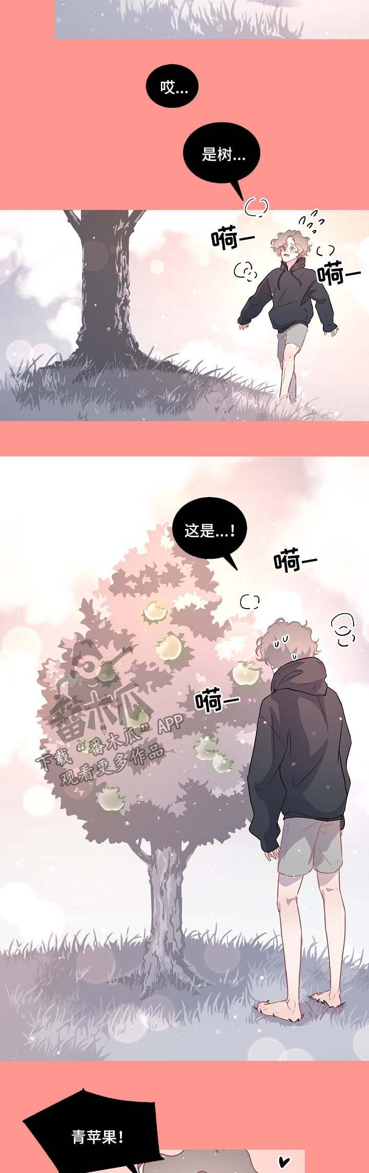 第79章：【第三季】苹果梦