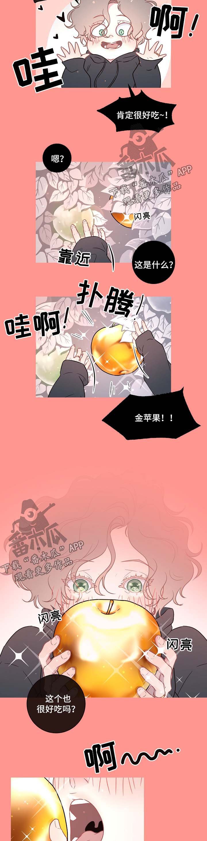 第79章：【第三季】苹果梦