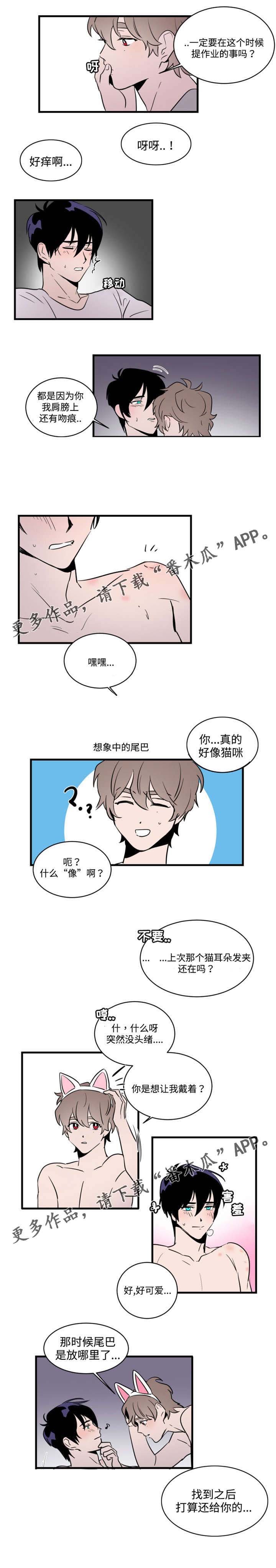 第28章：生日