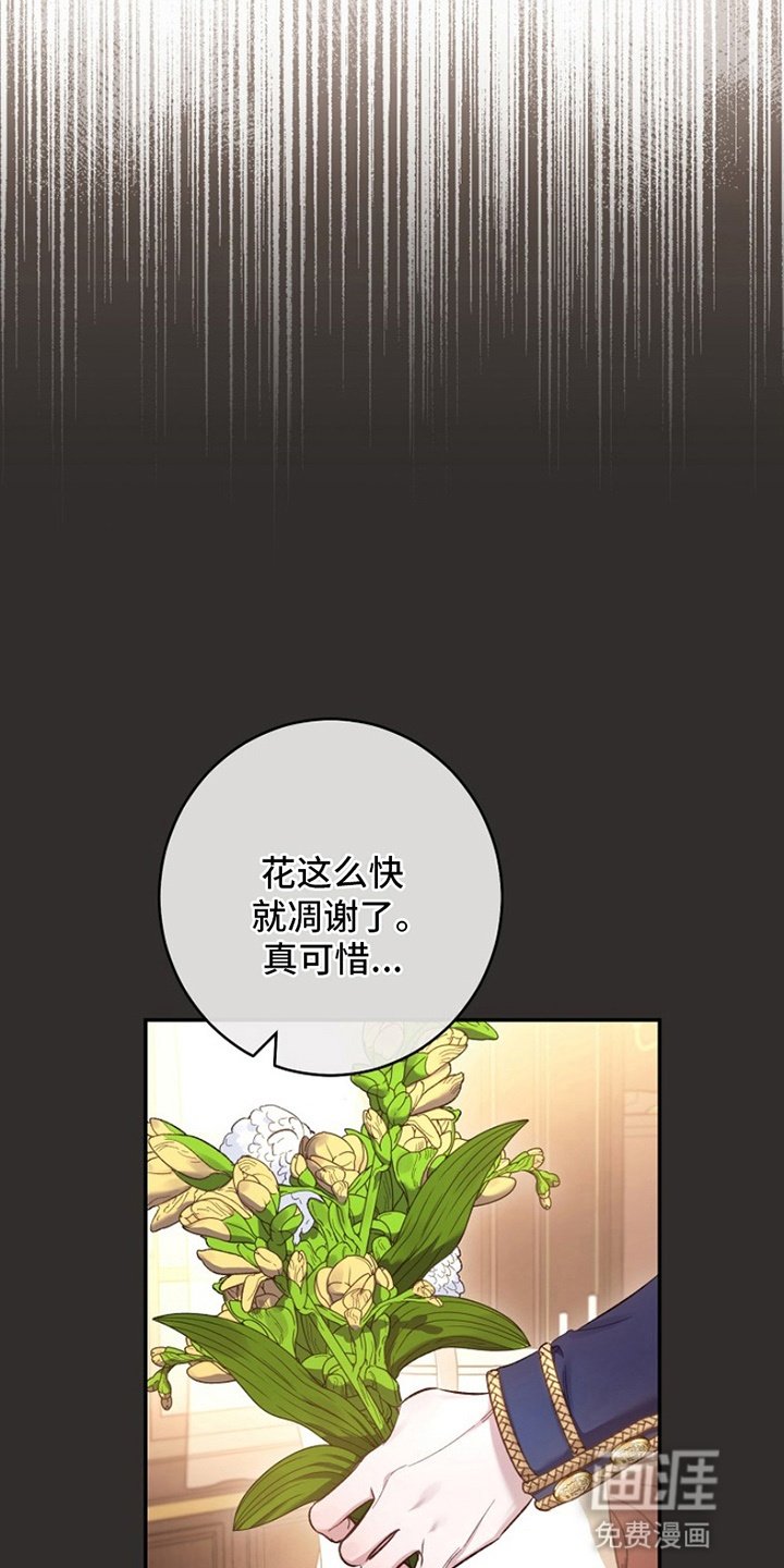 第17章：借口