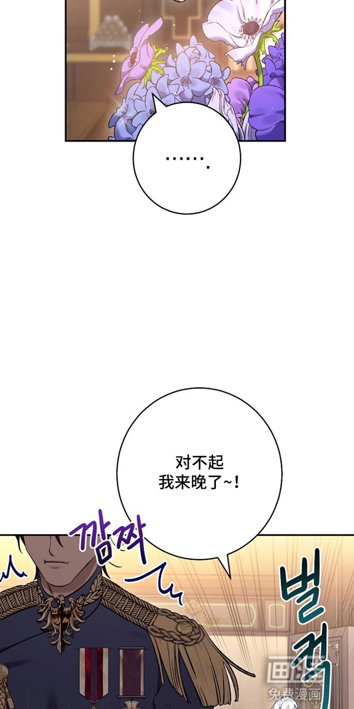 第17章：借口