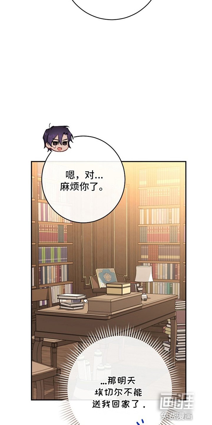 第17章：借口