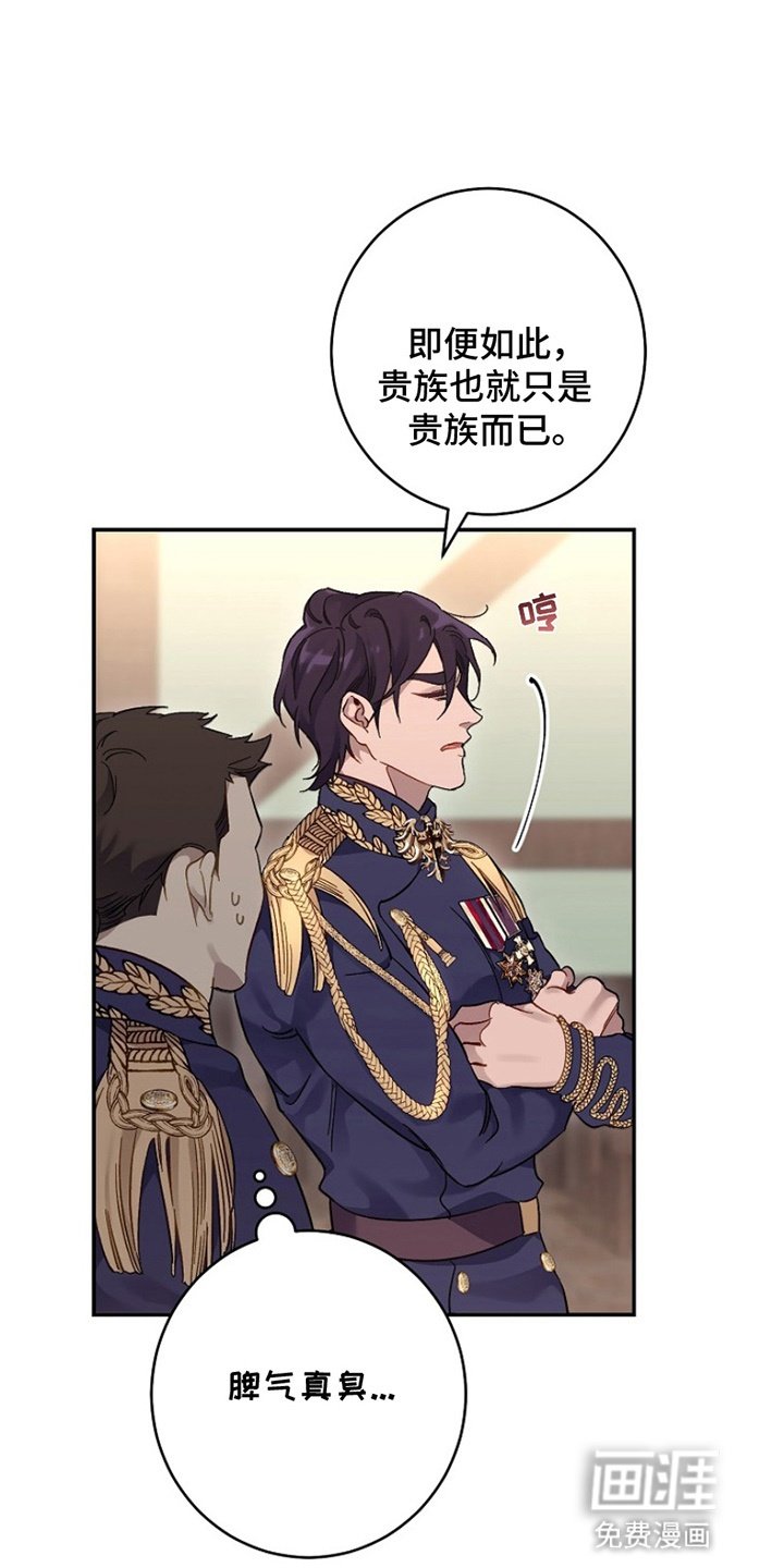 第6章：看不惯