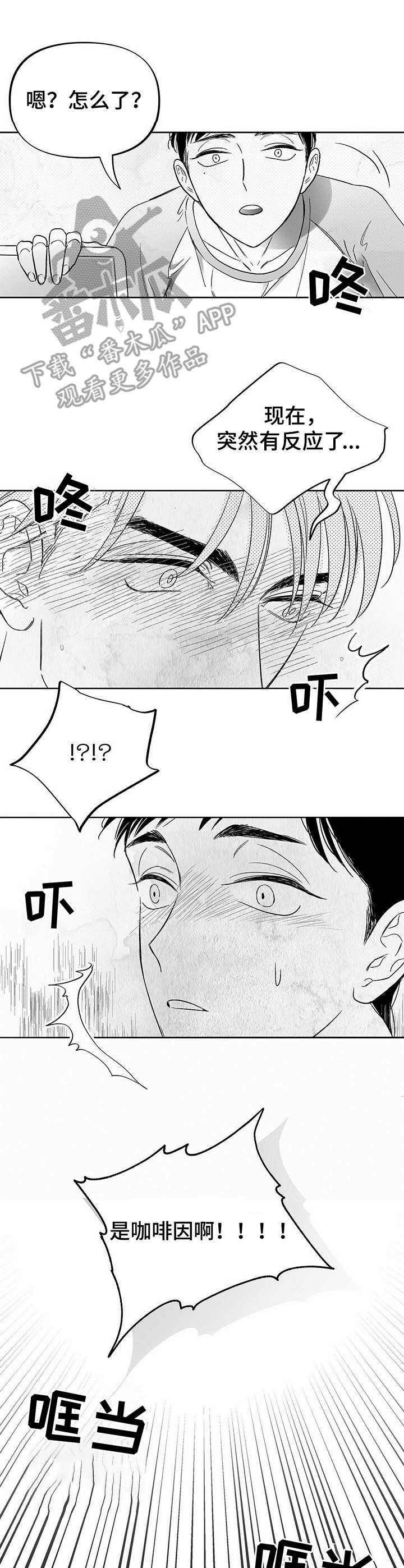 第14章：咖啡因