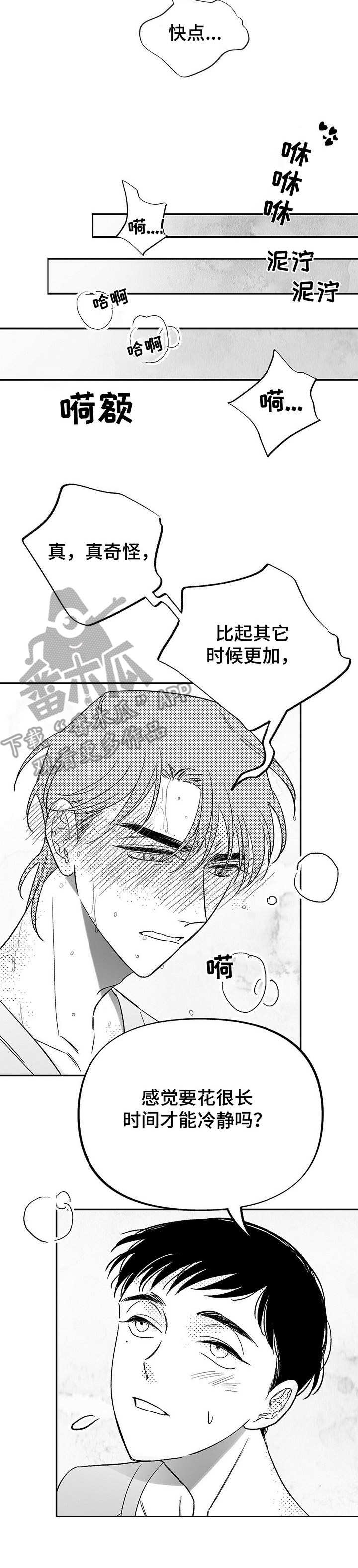 第14章：咖啡因