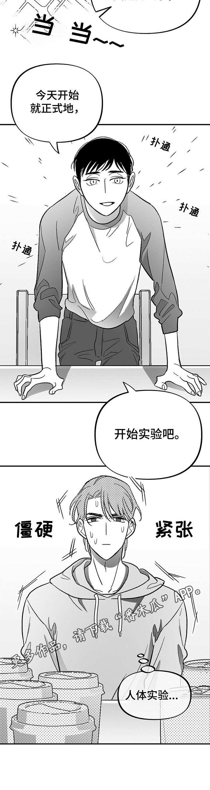 第15章：实验