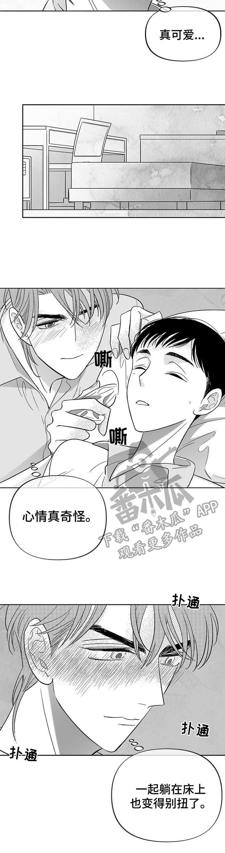 第17章：新的机会