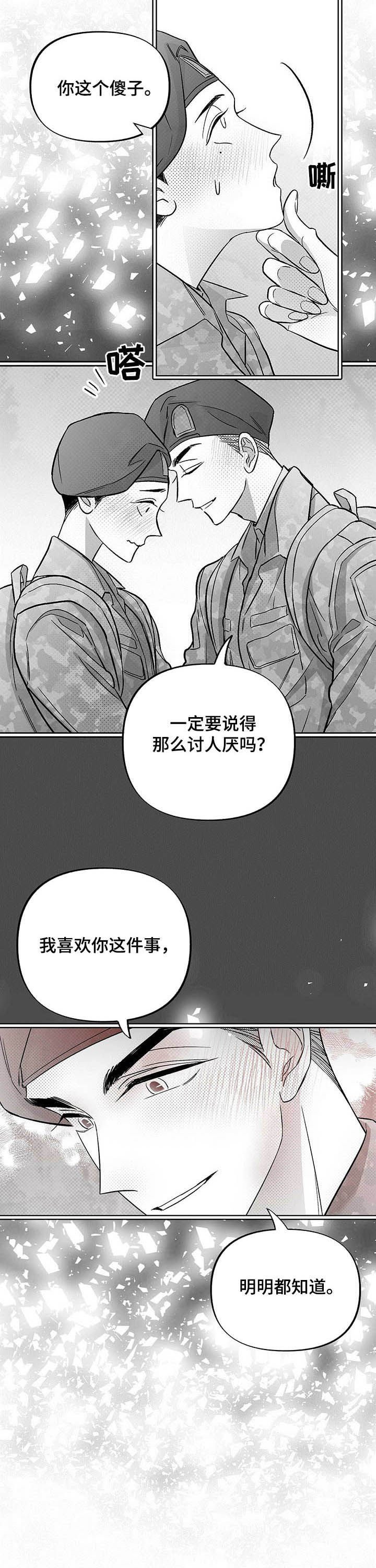 第31章：都会解决