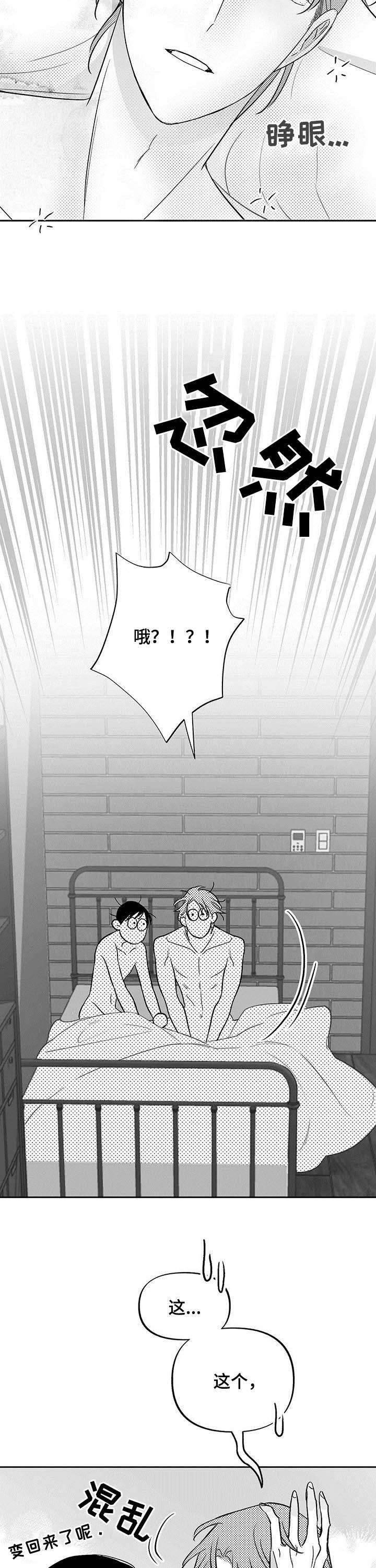 第31章：都会解决