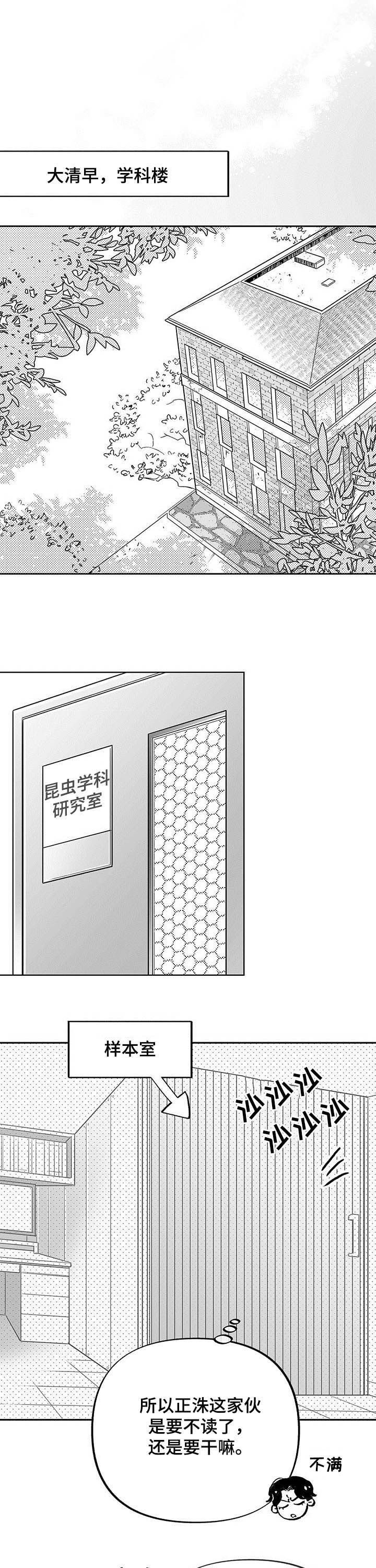 第32章：反应消失