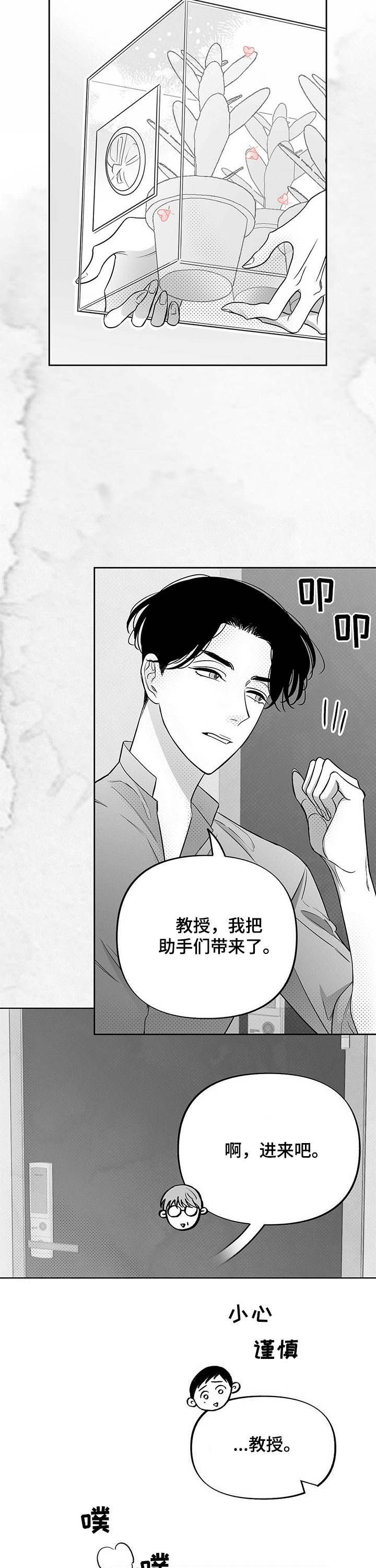 第32章：反应消失