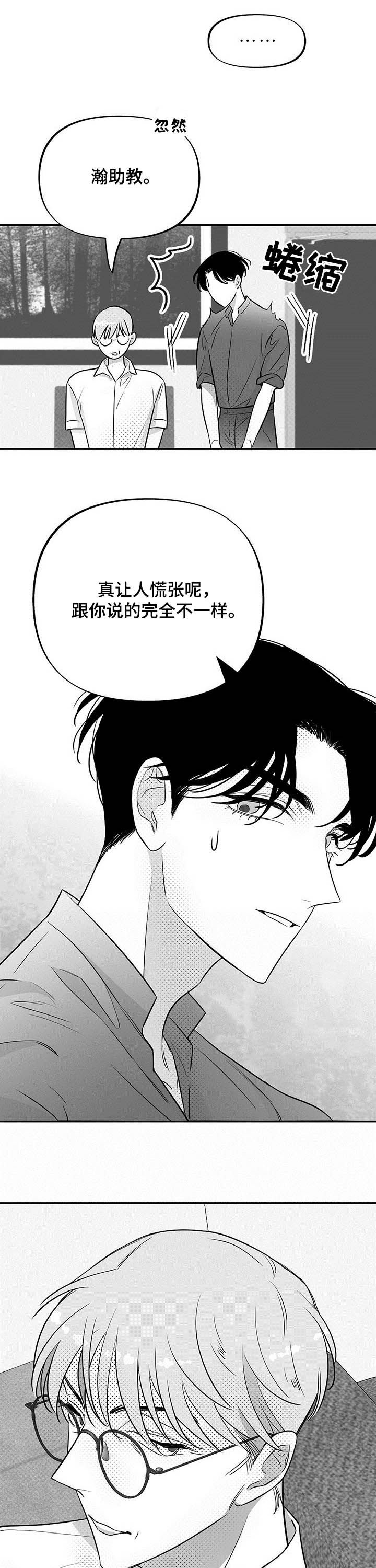 第33章：抓虫
