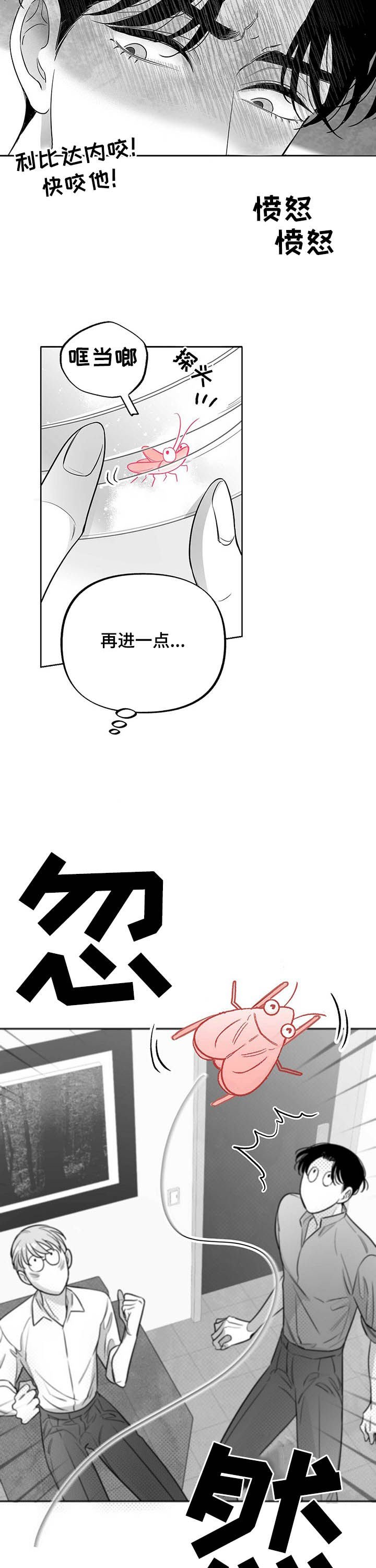 第33章：抓虫