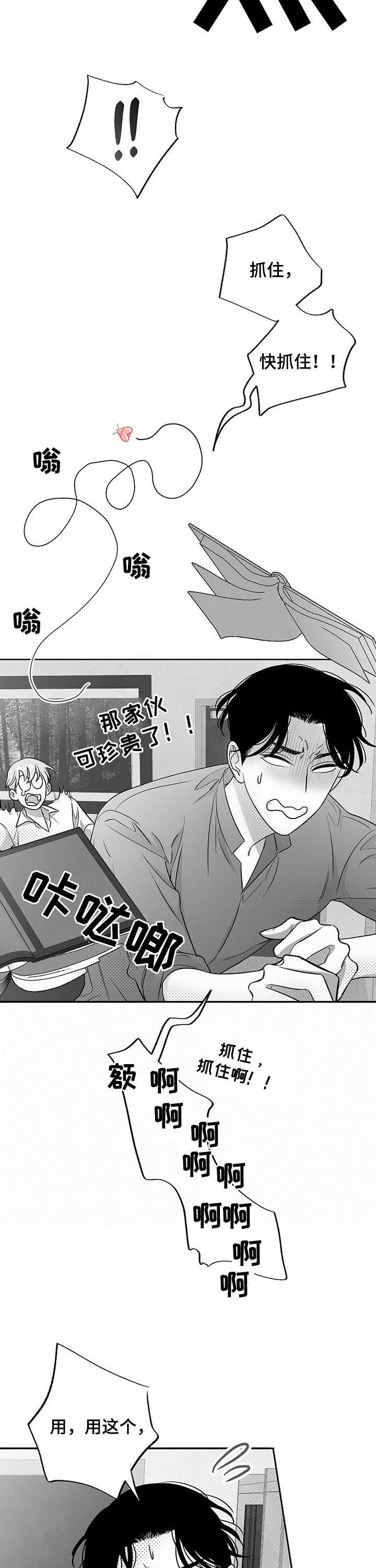 第33章：抓虫