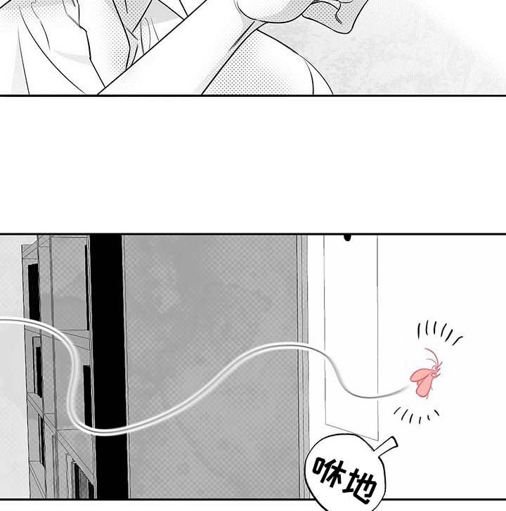 第33章：抓虫