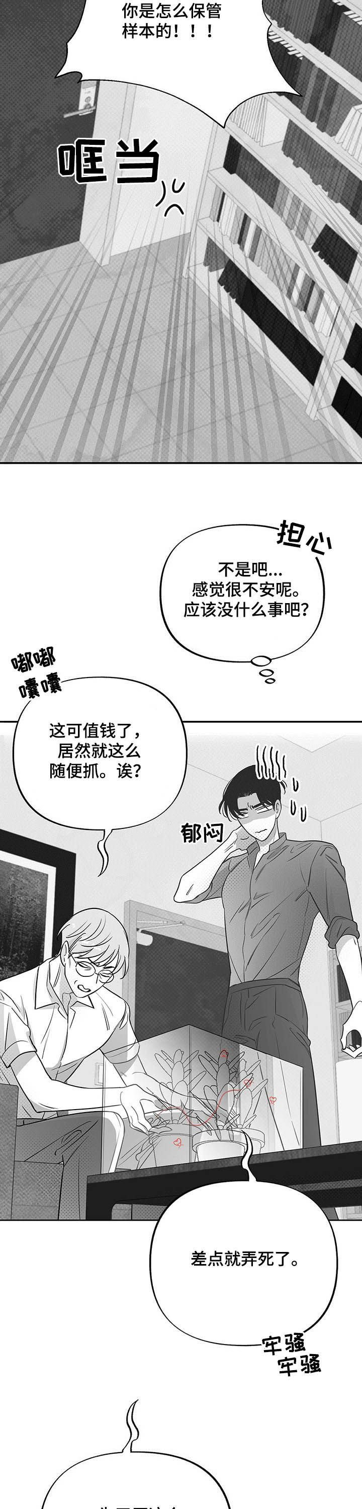 第33章：抓虫