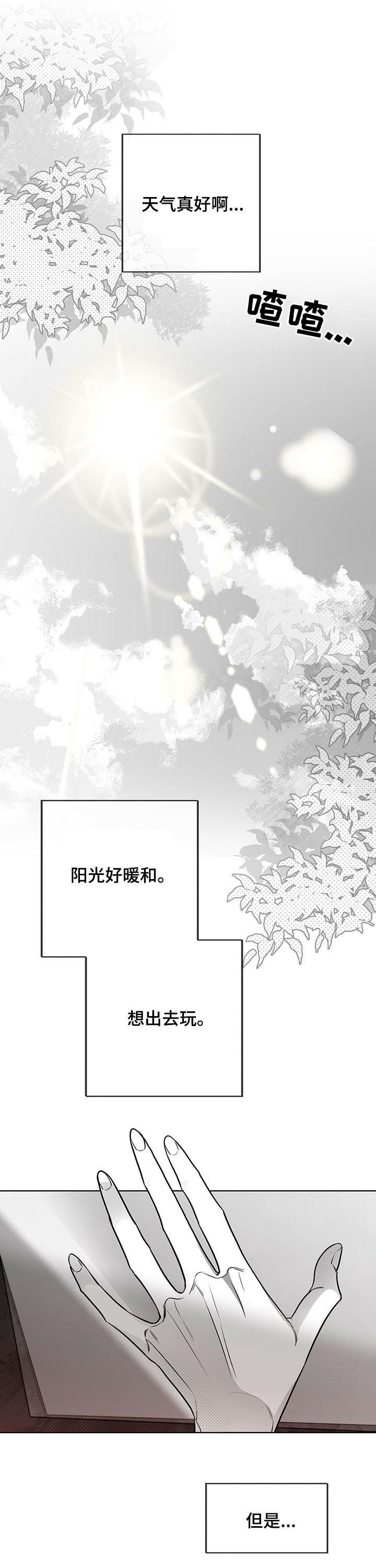 第39章：美梦