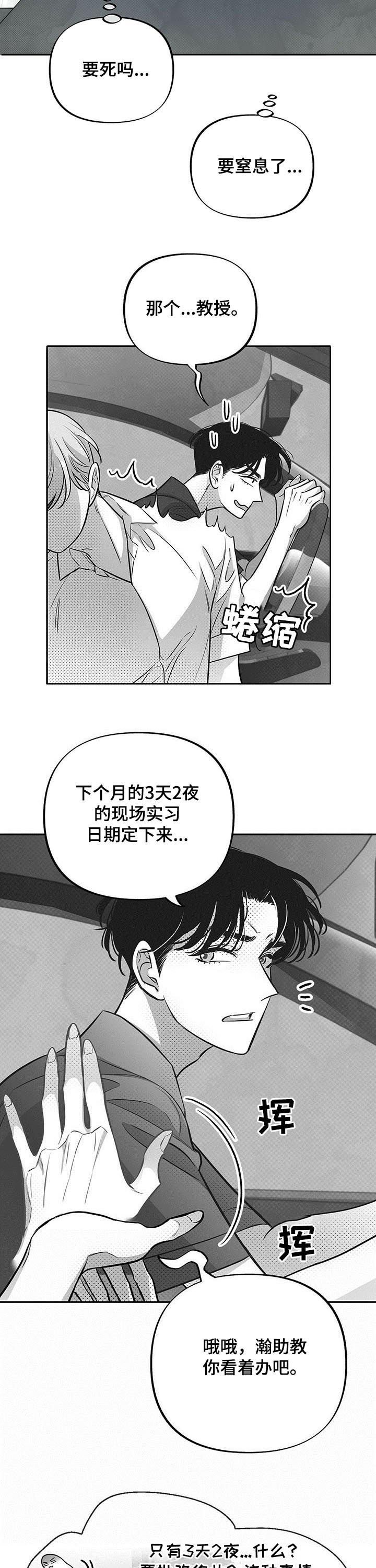 第39章：美梦